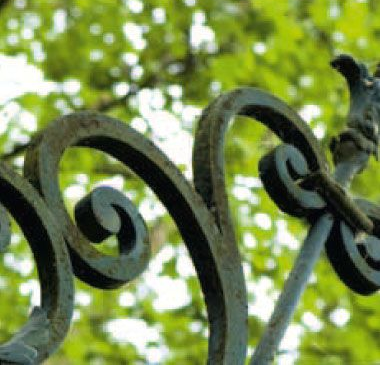 Gros plan sur une clôture en fer forgé ornée de volutes, se détachant sur un fond vert flou.