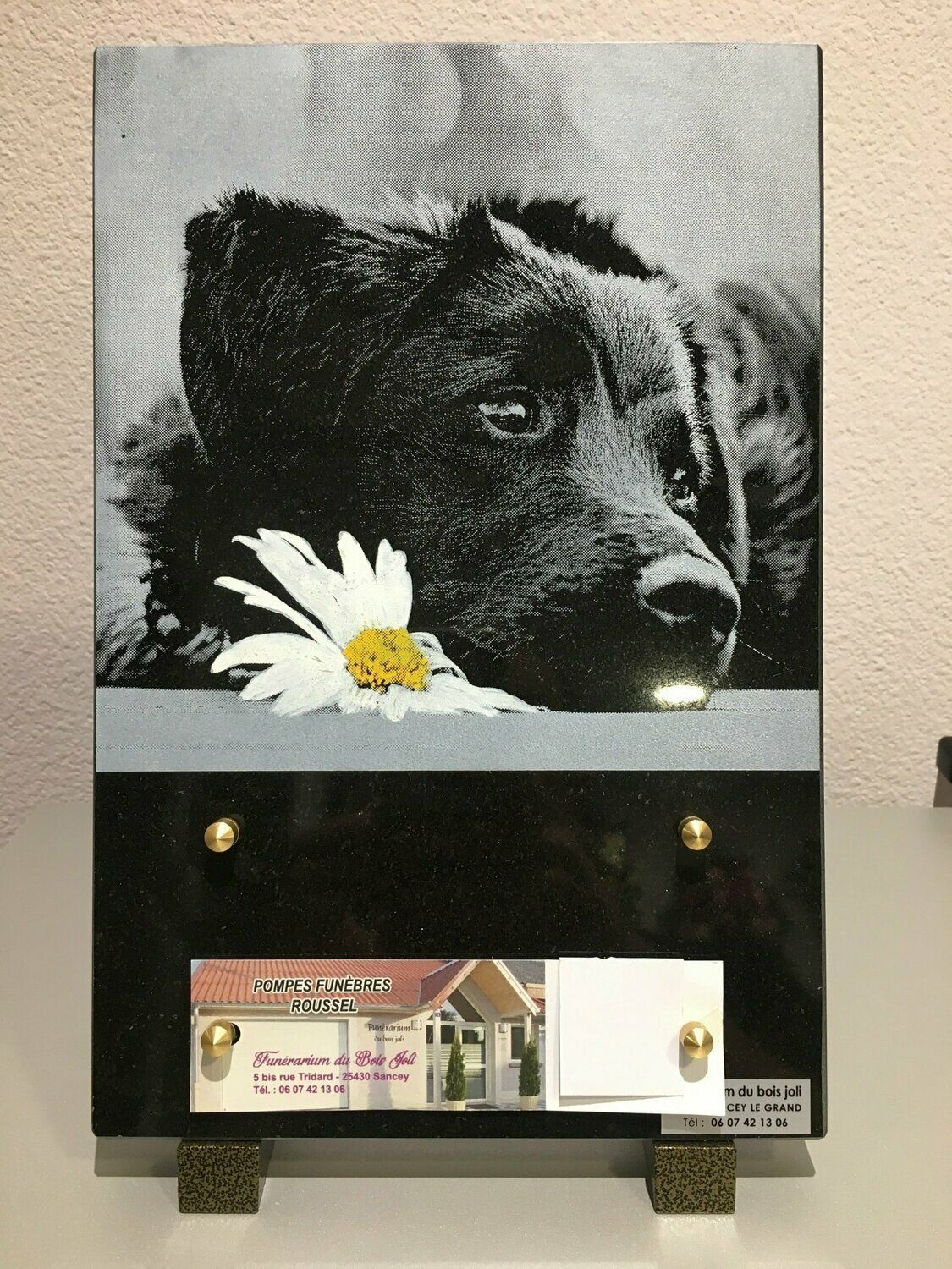 Une plaque funéraire avec une photo de chien gravée dessus.