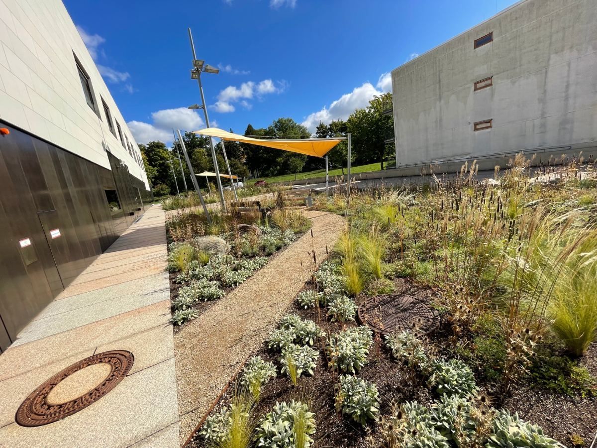 Herstellung einer Pausenflächengestaltung