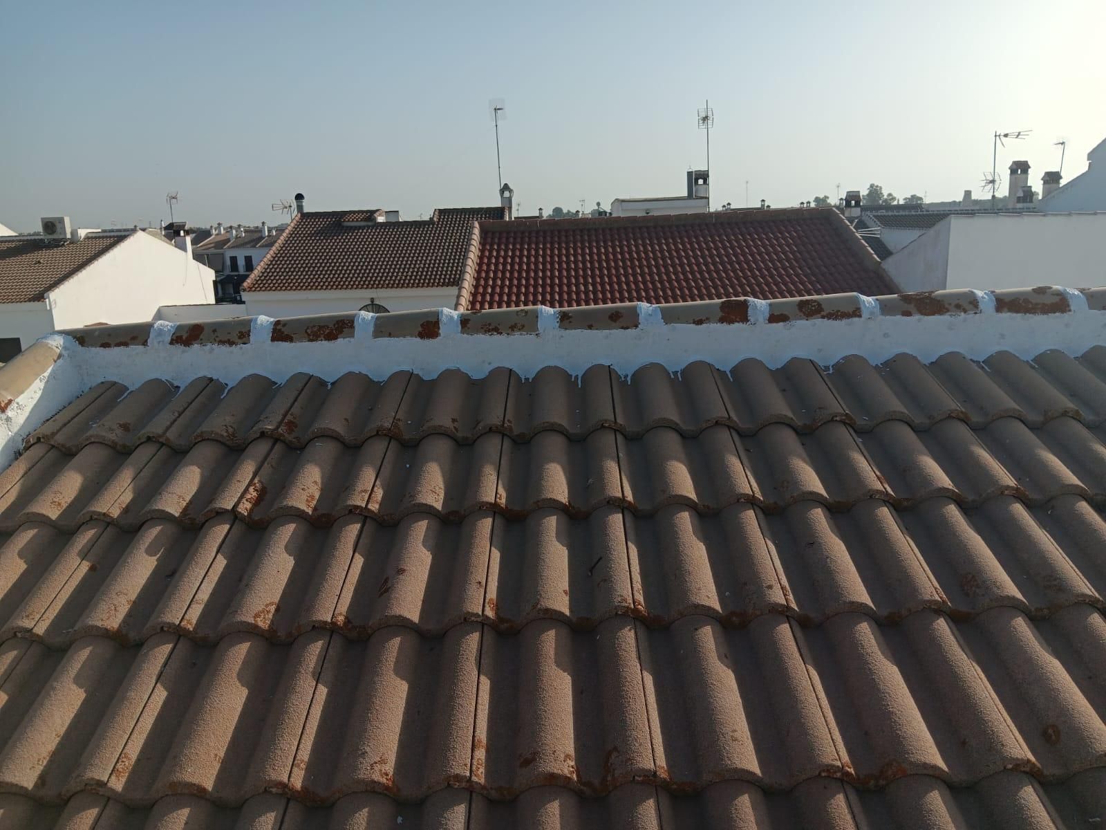Tejados de tejas de terracota bajo un cielo despejado, vistos sobre el horizonte de un barrio