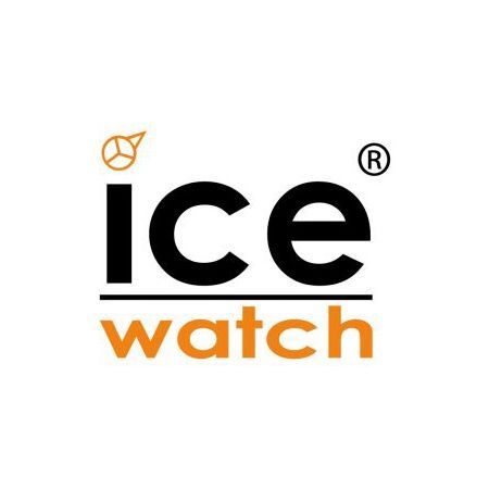 ICE Watch