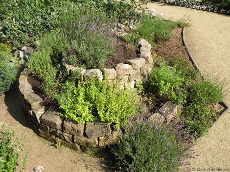 Kleines Pflanzenbeet