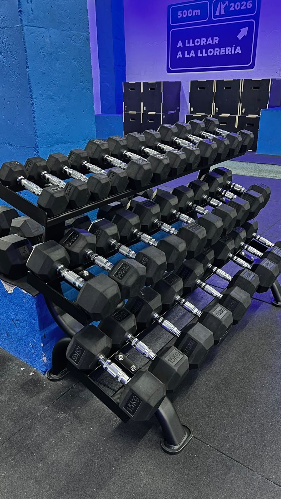 Hileras de mancuernas negras en un soporte de gimnasio, con paredes azules y un letrero en español al fondo