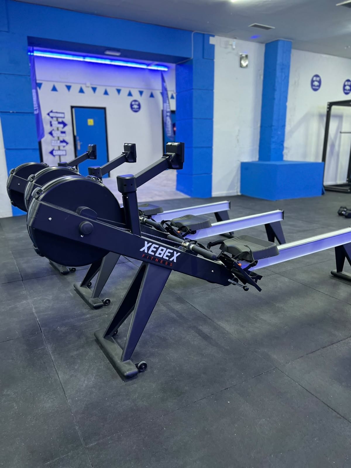 Gimnasio cubierto con una máquina de remo negra sobre un suelo azul y blanco, bajo una iluminación azul