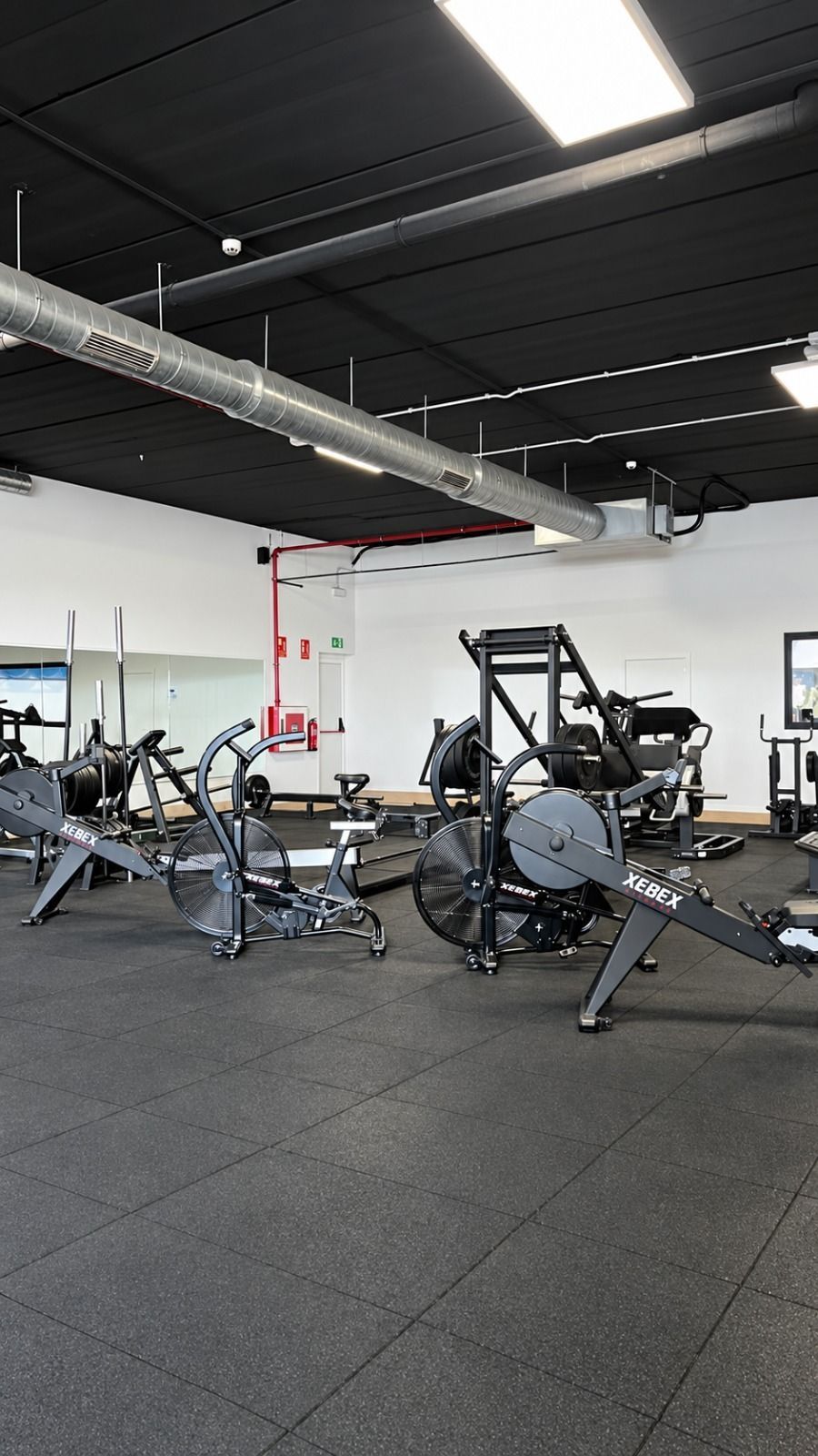 Interior moderno de gimnasio con máquinas de remo, equipos de pesas y suelo negro bajo luces brillantes en el techo