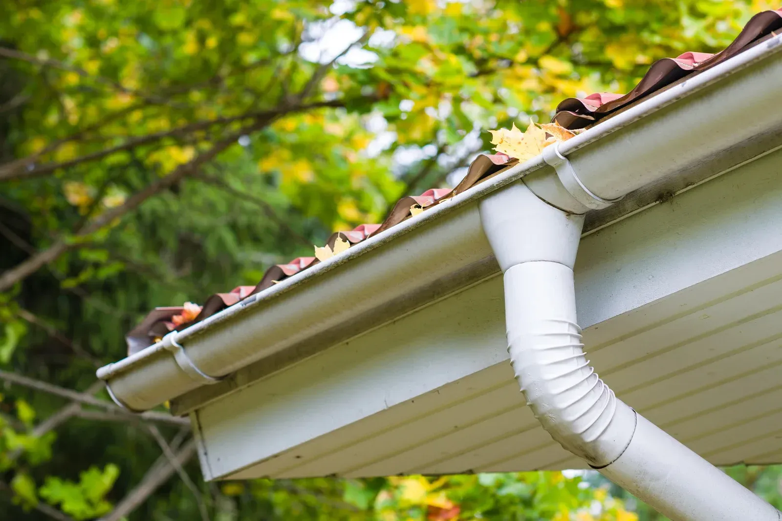 White gutter and downspout on a house roof with autumn leaves in the background
