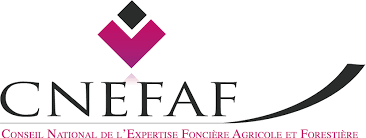 Logo CNEFAF avec formes géométriques, ligne courbe et texte en noir et marron.