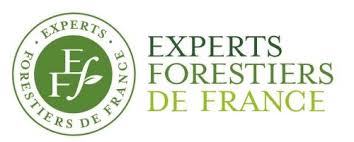 Logo des Experts Forestiers De France, vert et blanc, cercle avec