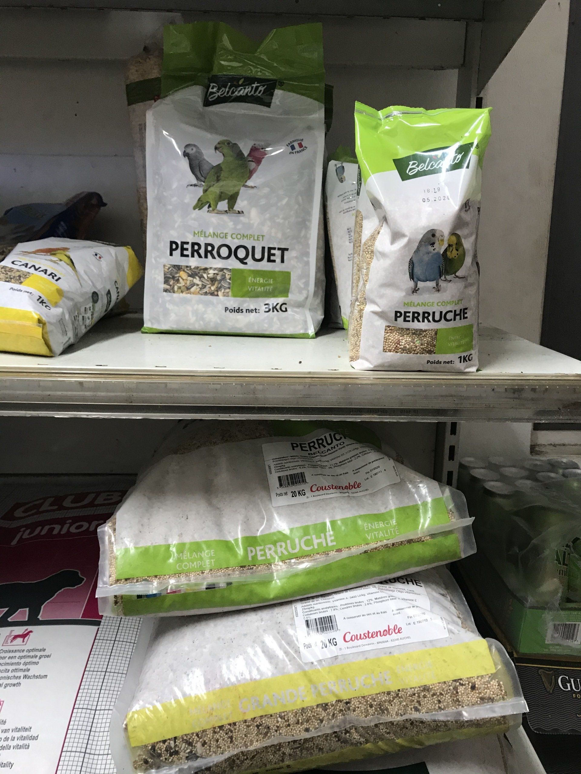 Alimentation Perroquet