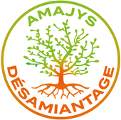 Logo Amajys