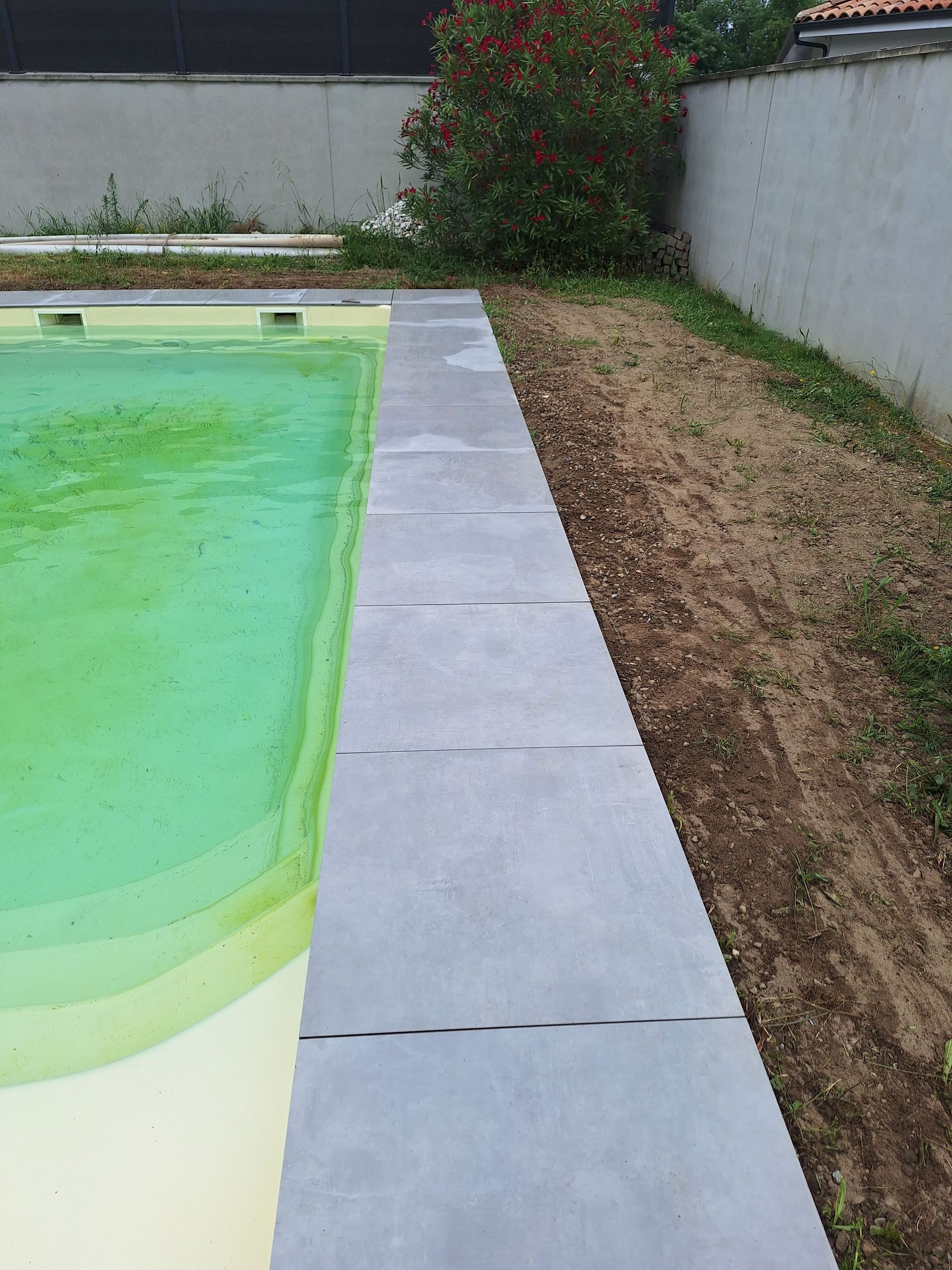 Vue sur bordure d'une piscine et contenant de l'eau verte