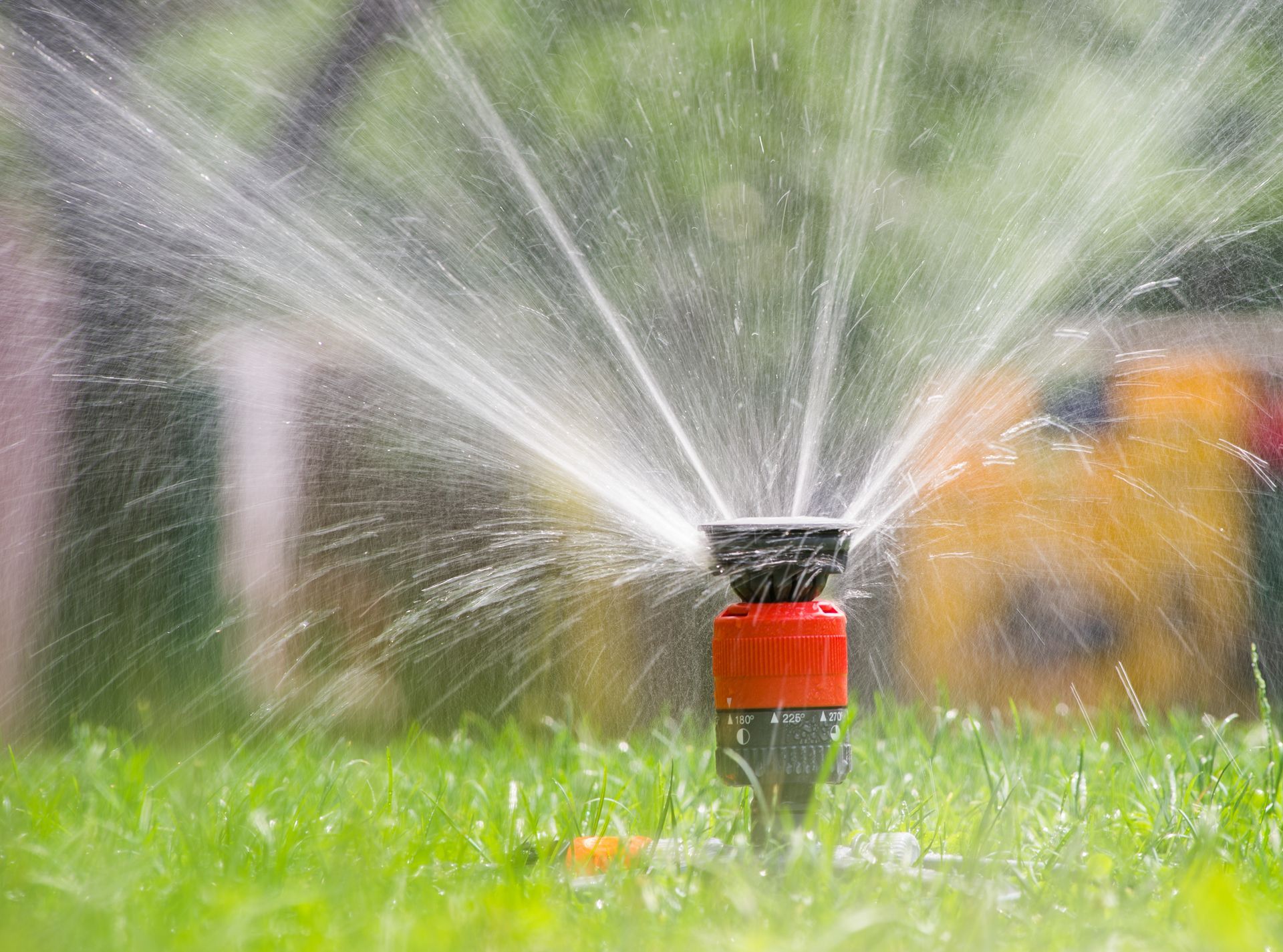 Ein Sprinkler sprüht Wasser auf einen üppigen grünen Rasen.