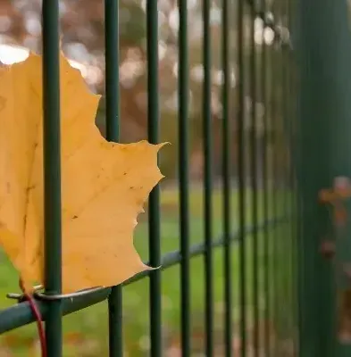 Ein gelbes Blatt hängt an einem grünen Zaun