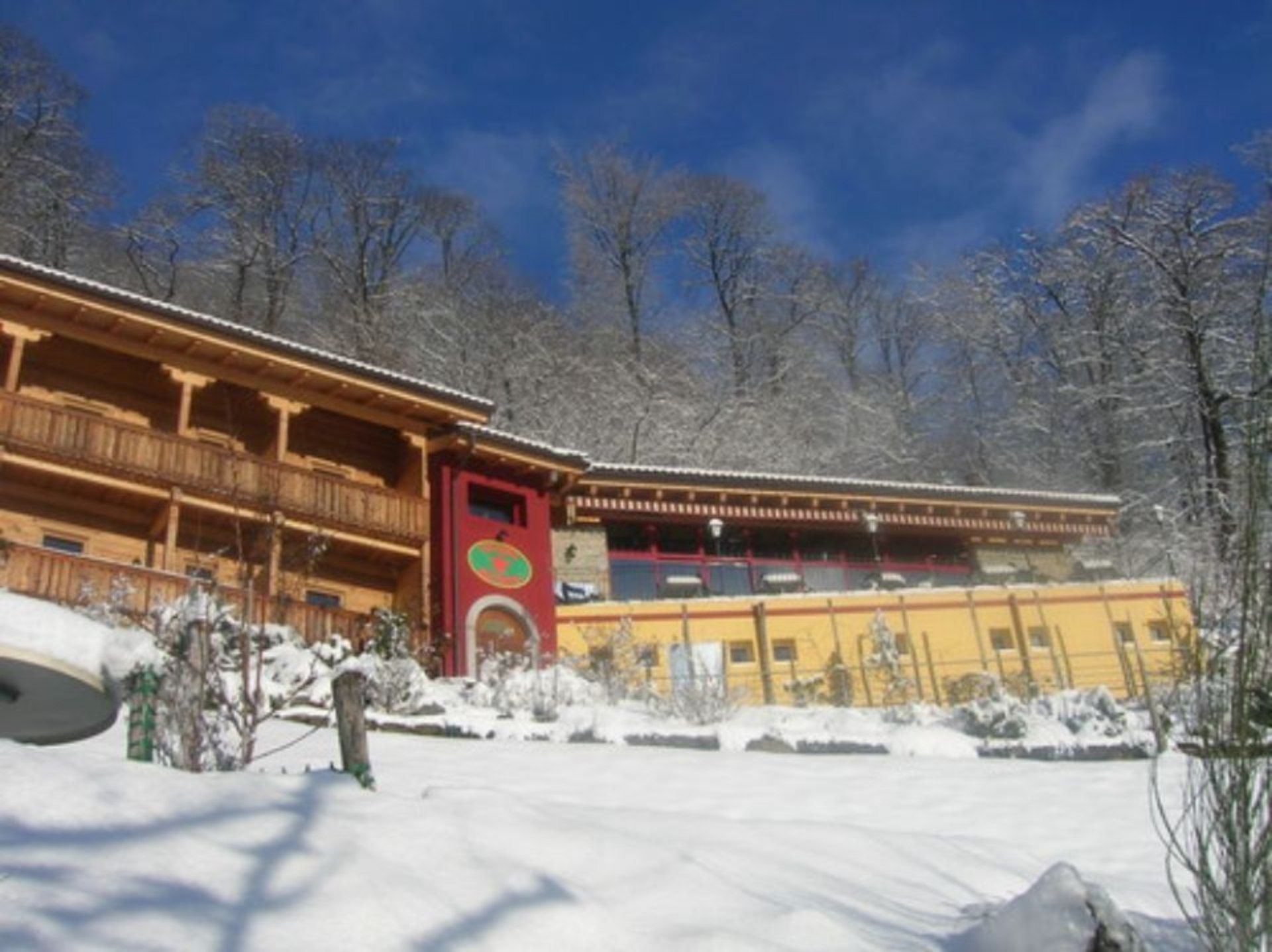 Un grande edificio è circondato da neve e alberi