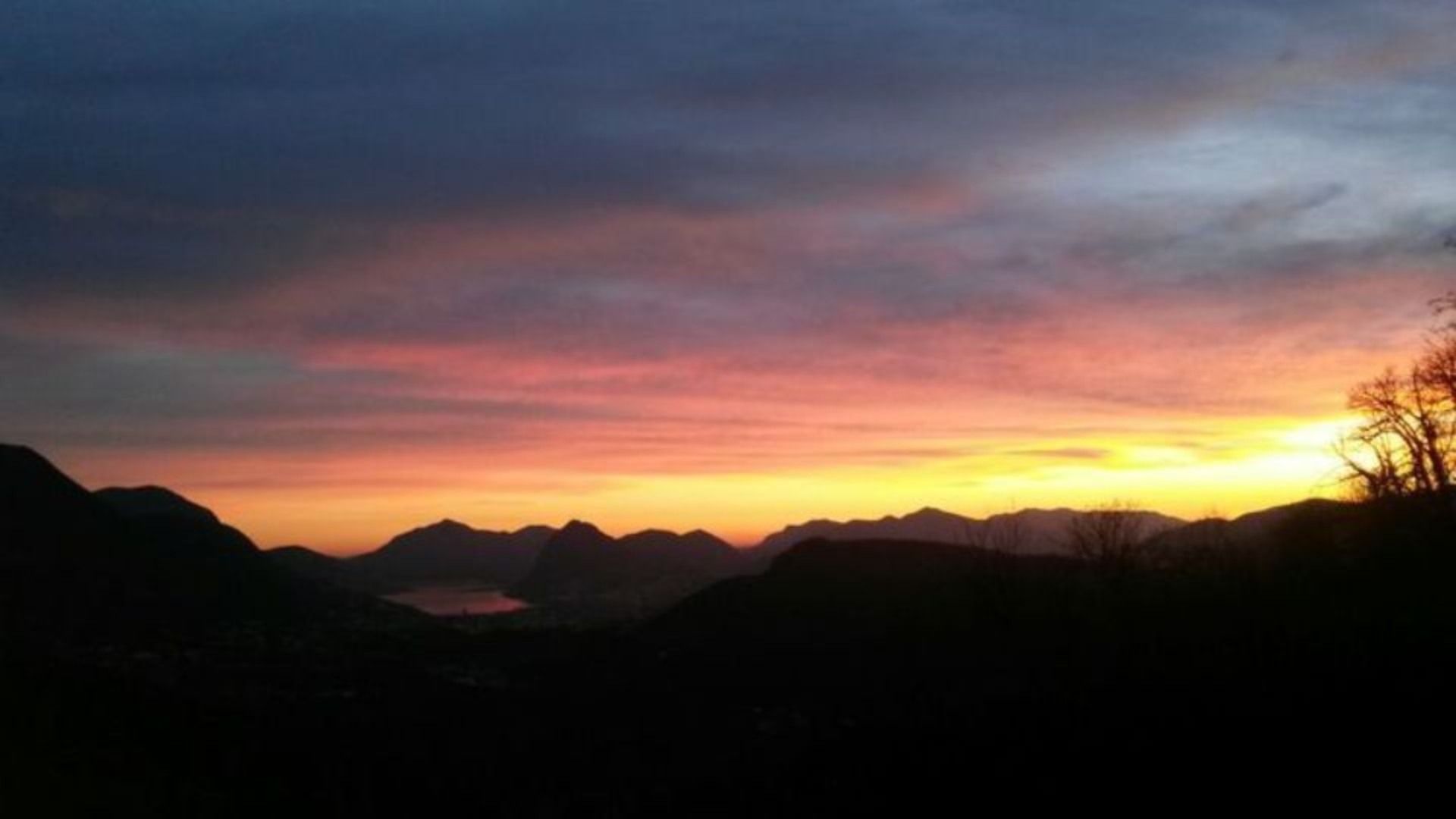 Un tramonto su una catena montuosa con alberi in primo piano