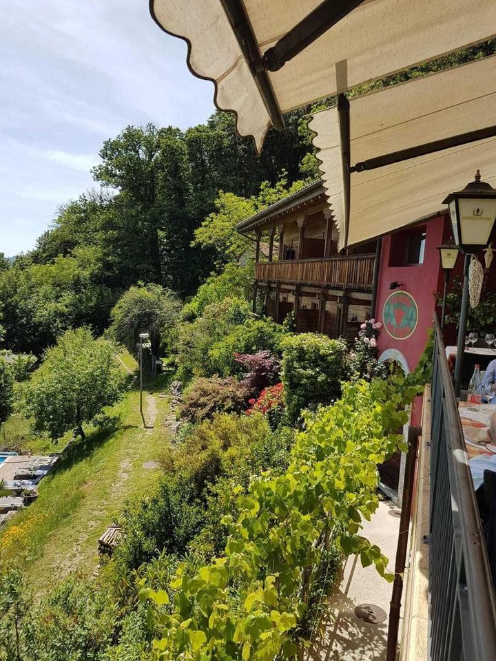 Una vista di una lussureggiante foresta verde da un balcone