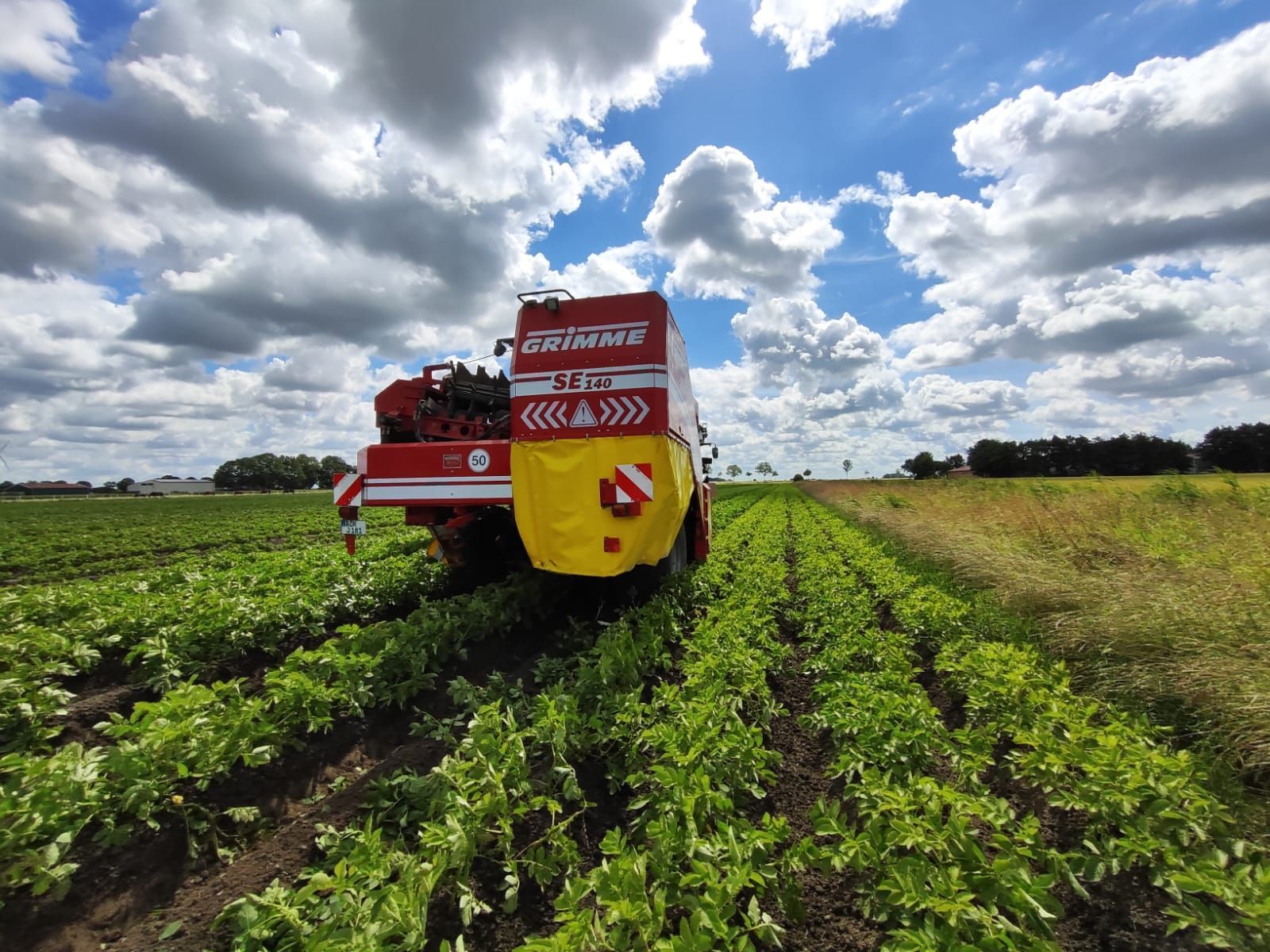 Ein rot-gelber Traktor fährt durch ein Salatfeld.