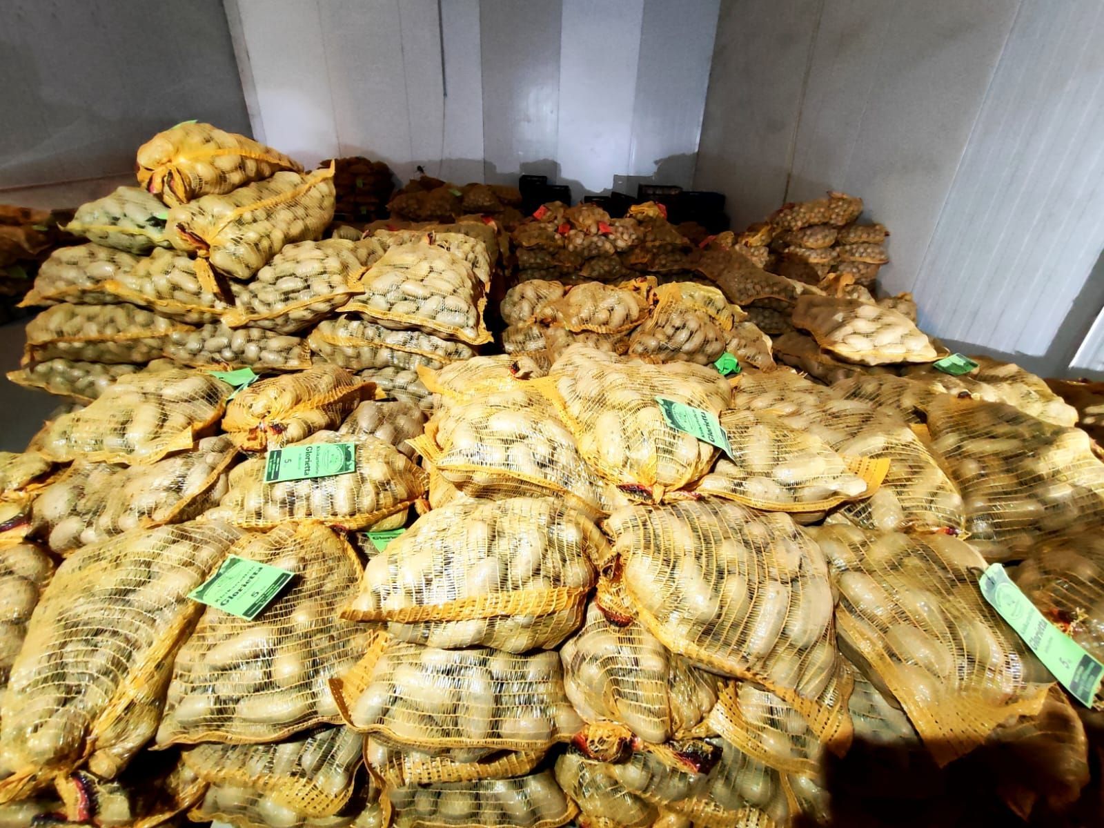 In einem Raum sind mehrere Säcke mit Kartoffeln übereinander gestapelt.