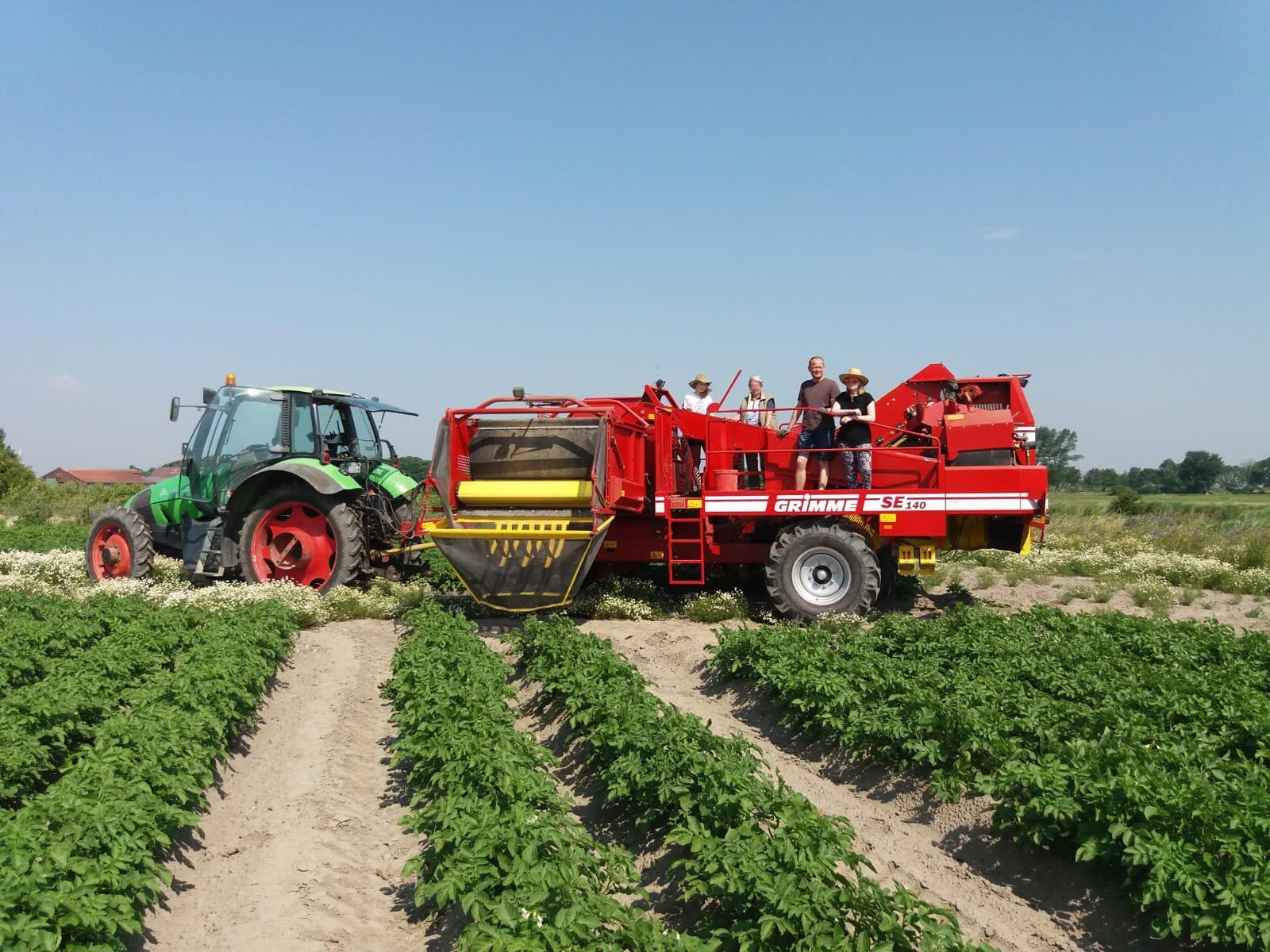 Zwei Traktoren arbeiten auf einem Kartoffelfeld.