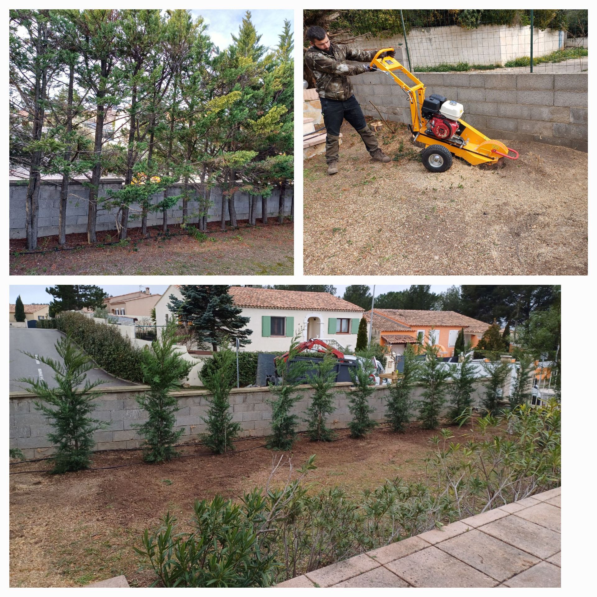 Un homme utilise une machine jaune pour enlever des arbres d'une cour.
