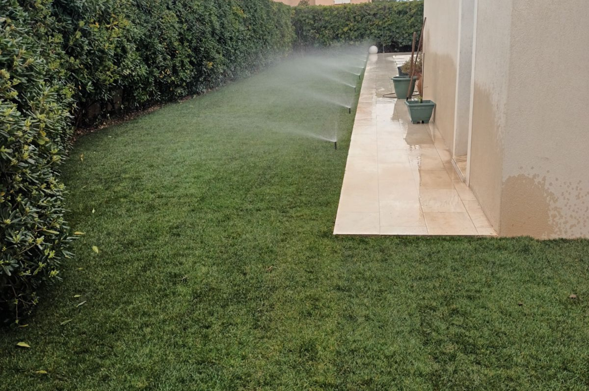 Un arroseur pulvérise de l'eau sur une pelouse verte luxuriante.
