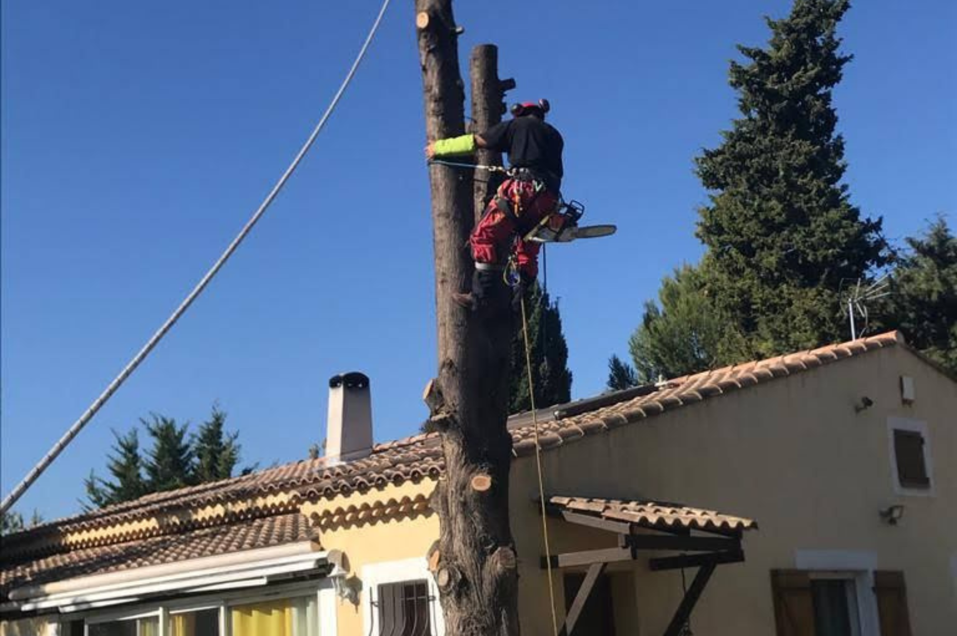 Un homme grimpe à un arbre avec une tronçonneuse devant une maison.