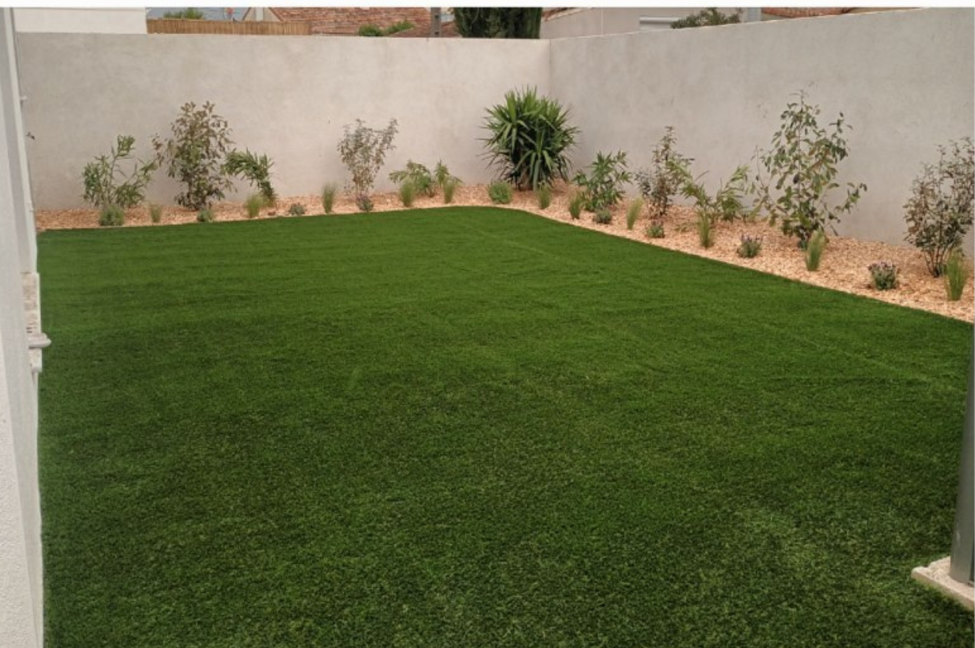 Une pelouse verte luxuriante avec un mur blanc en arrière-plan