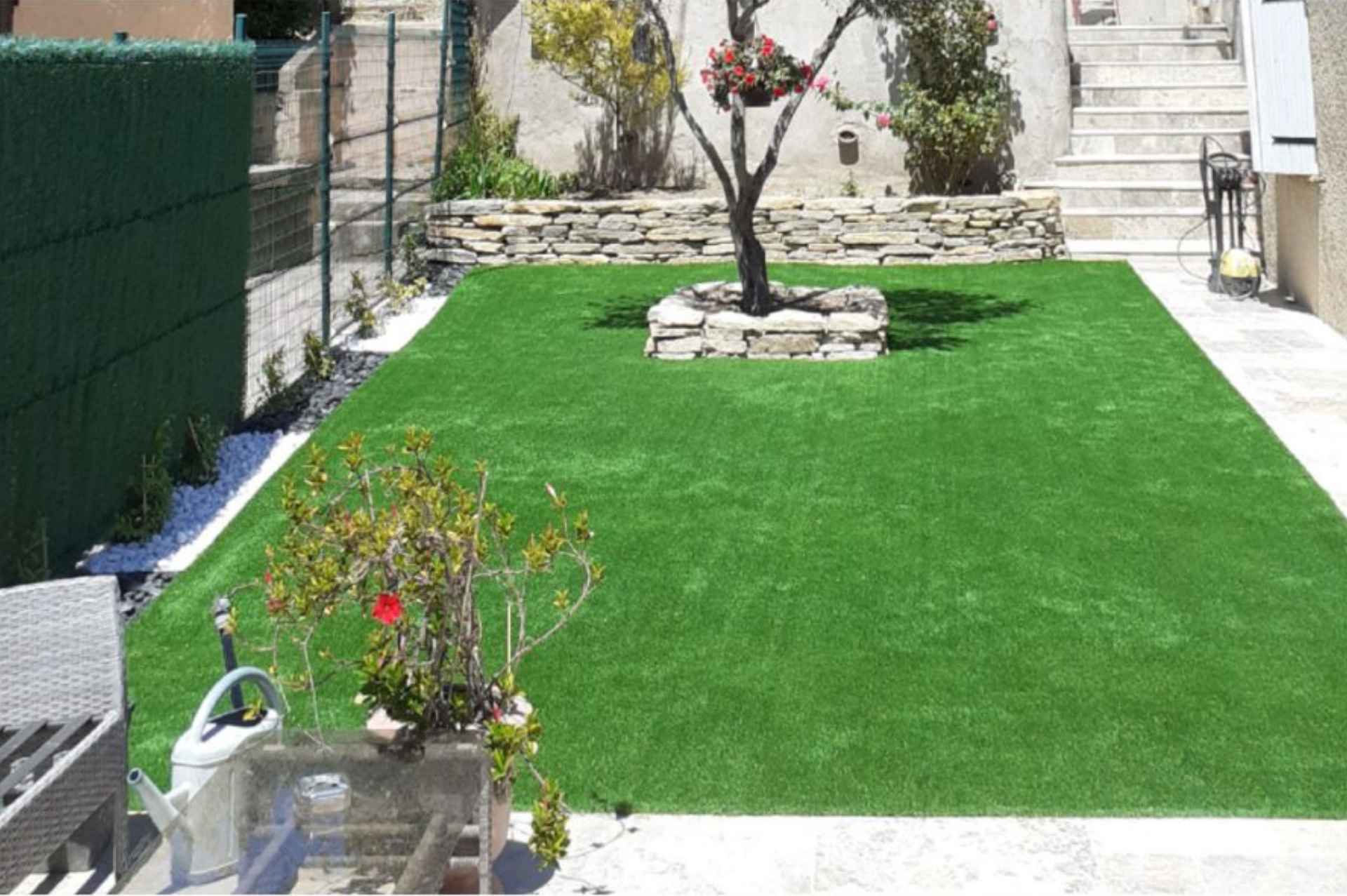 Il y a un arbre au milieu de l'herbe dans l'arrière-cour.