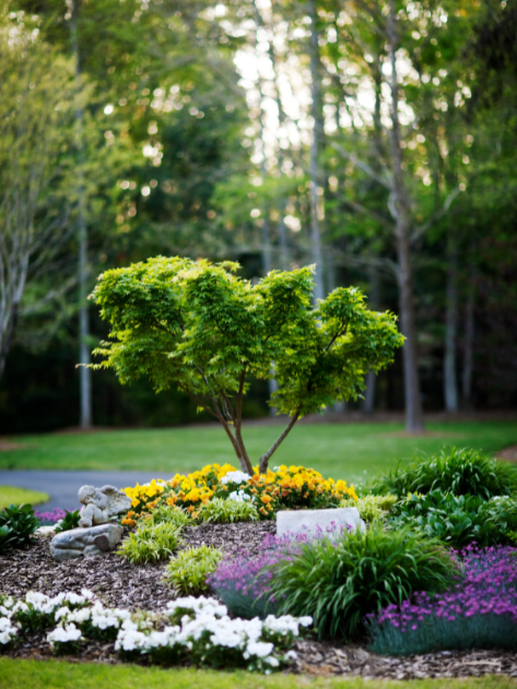 Une rangée de buissons pousse dans un lit de rochers blancs