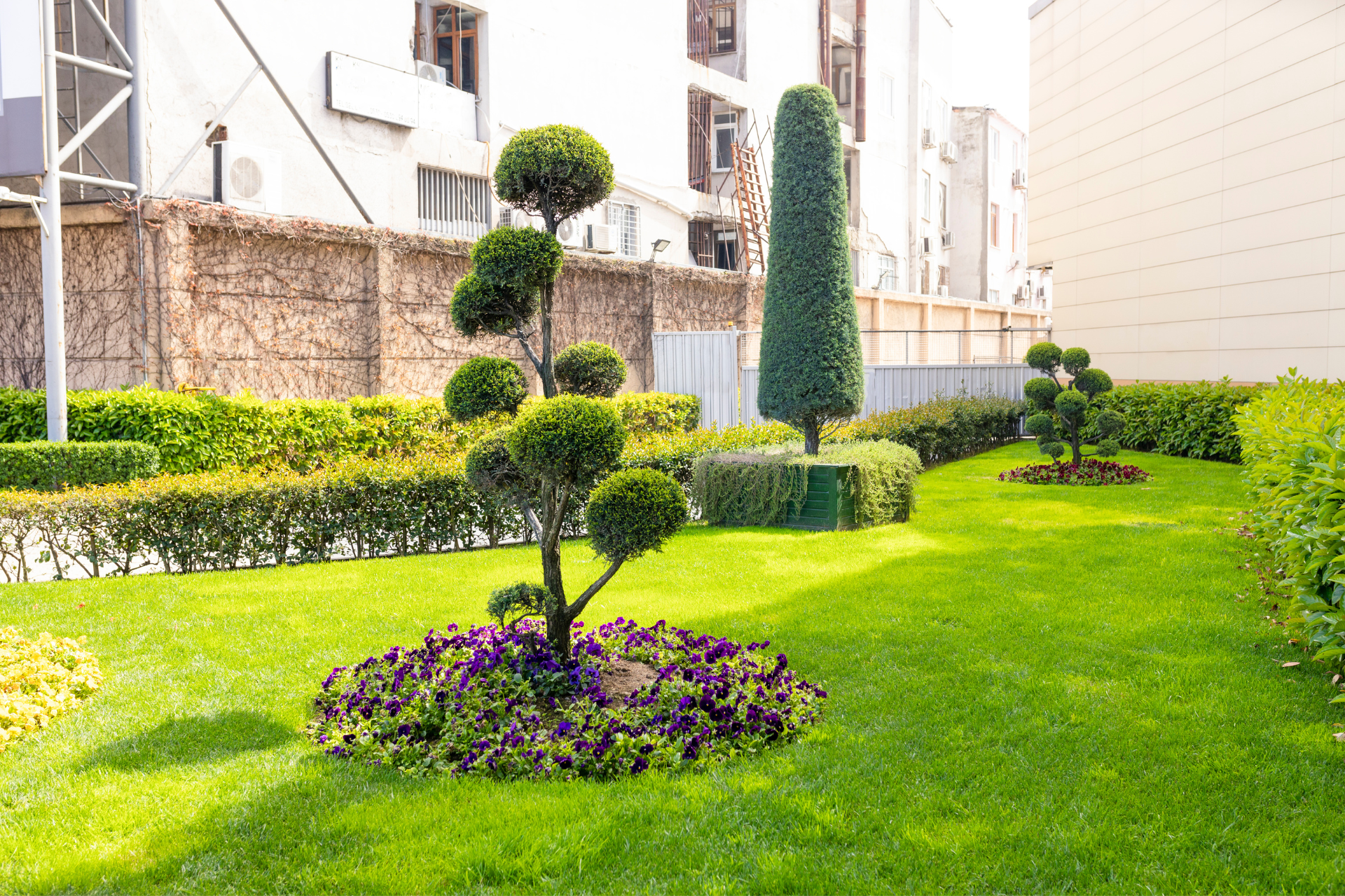 Une photo avant et après d'un jardin avec une tondeuse à gazon