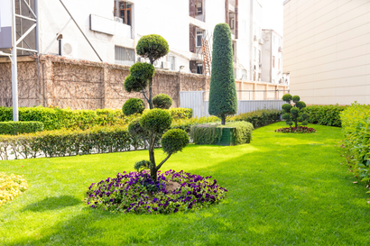 Une photo avant et après d'un jardin avec des rochers et des plantes