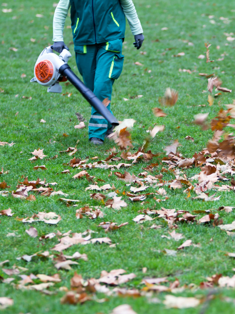 Une personne souffle des feuilles sur une pelouse verte luxuriante.