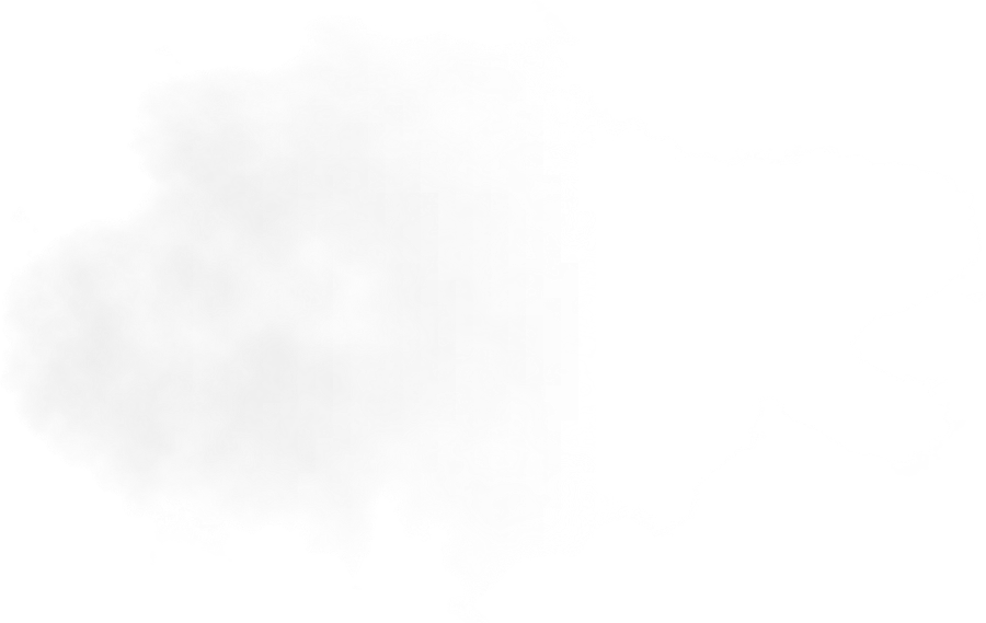 Imagen mayormente blanca, con una fina línea horizontal negra cerca de la parte inferior.