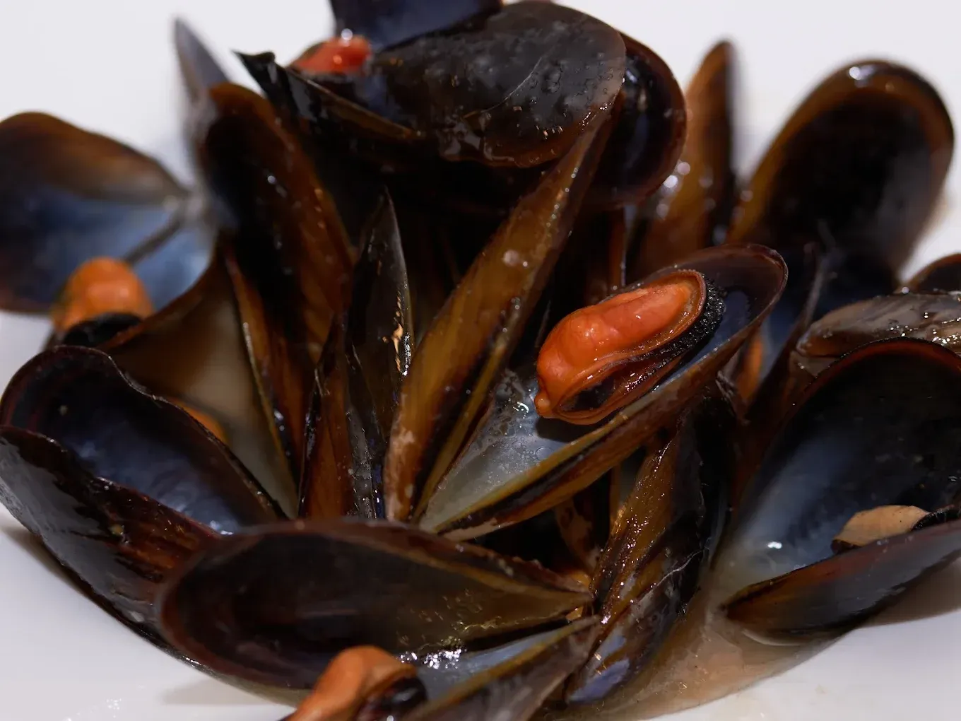 Primer plano de mejillones abiertos con conchas oscuras brillantes y carne naranja sobre una superficie blanca.