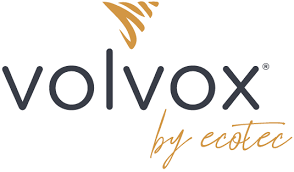 Volvox Volvox