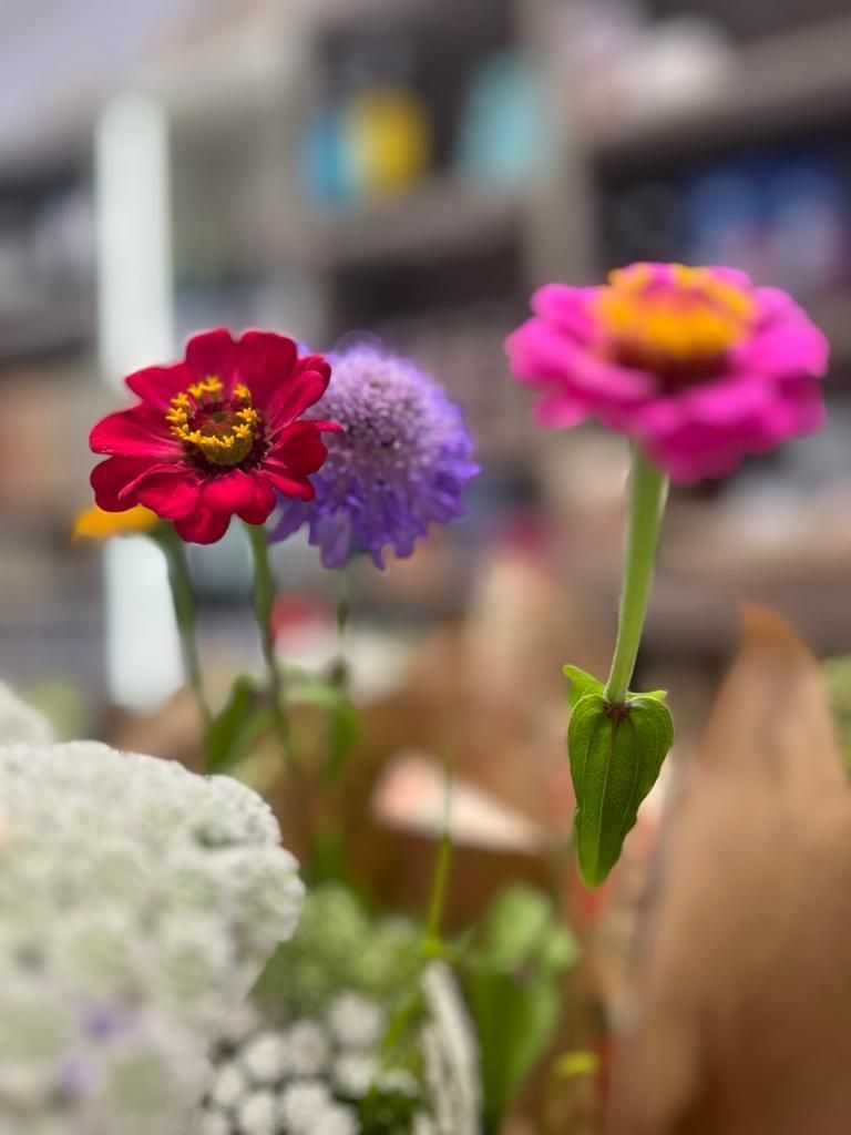 Un primer plano de tres flores en un jarrón.