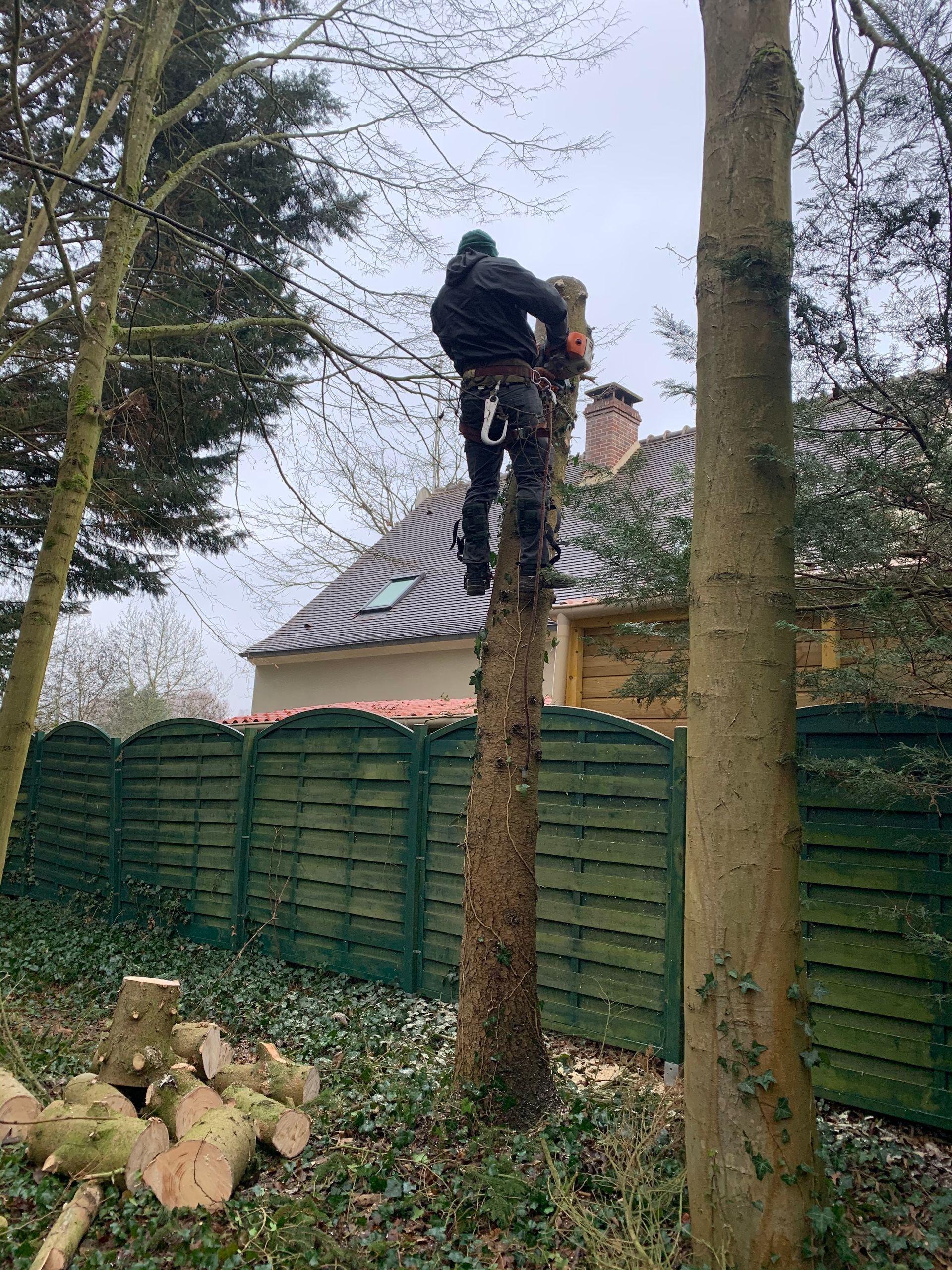 Travaux d'élagage par un pro