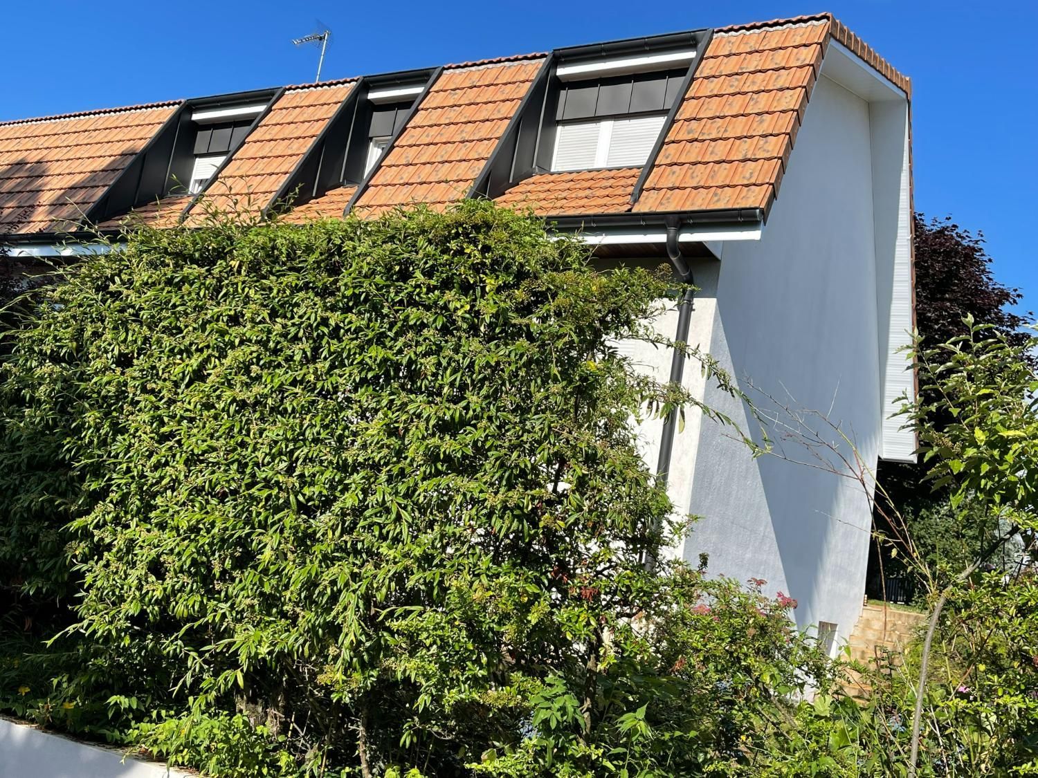 Bâtiment blanc avec un toit de tuiles brunes, trois puits de lumière et une végétation luxuriante à l'avant.