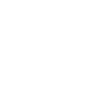 Icon Auto