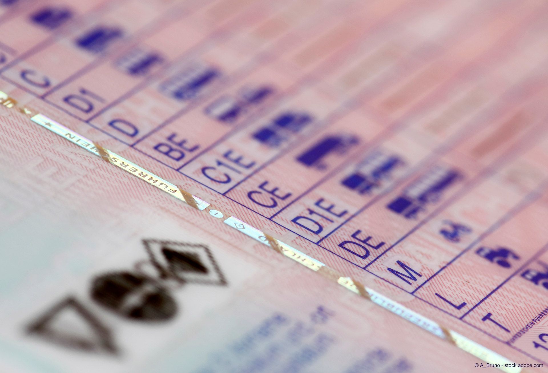 Nahaufnahme eines Führerscheins, auf dem die Fahrzeugkategorien blau aufgedruckt sind.