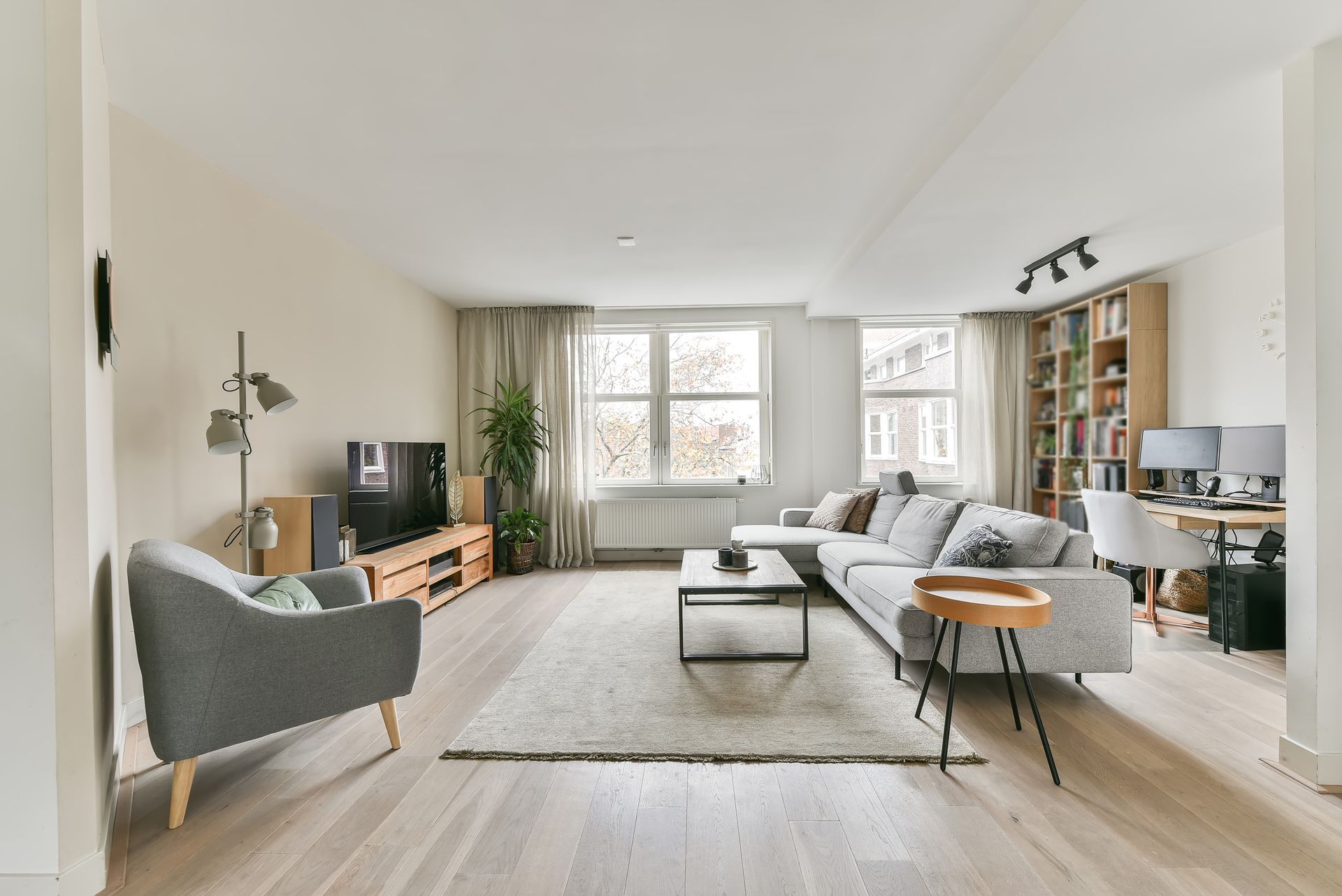 Salon moderne et lumineux avec canapé gris, fauteuil, tapis, télévision, plantes et grandes fenêtres