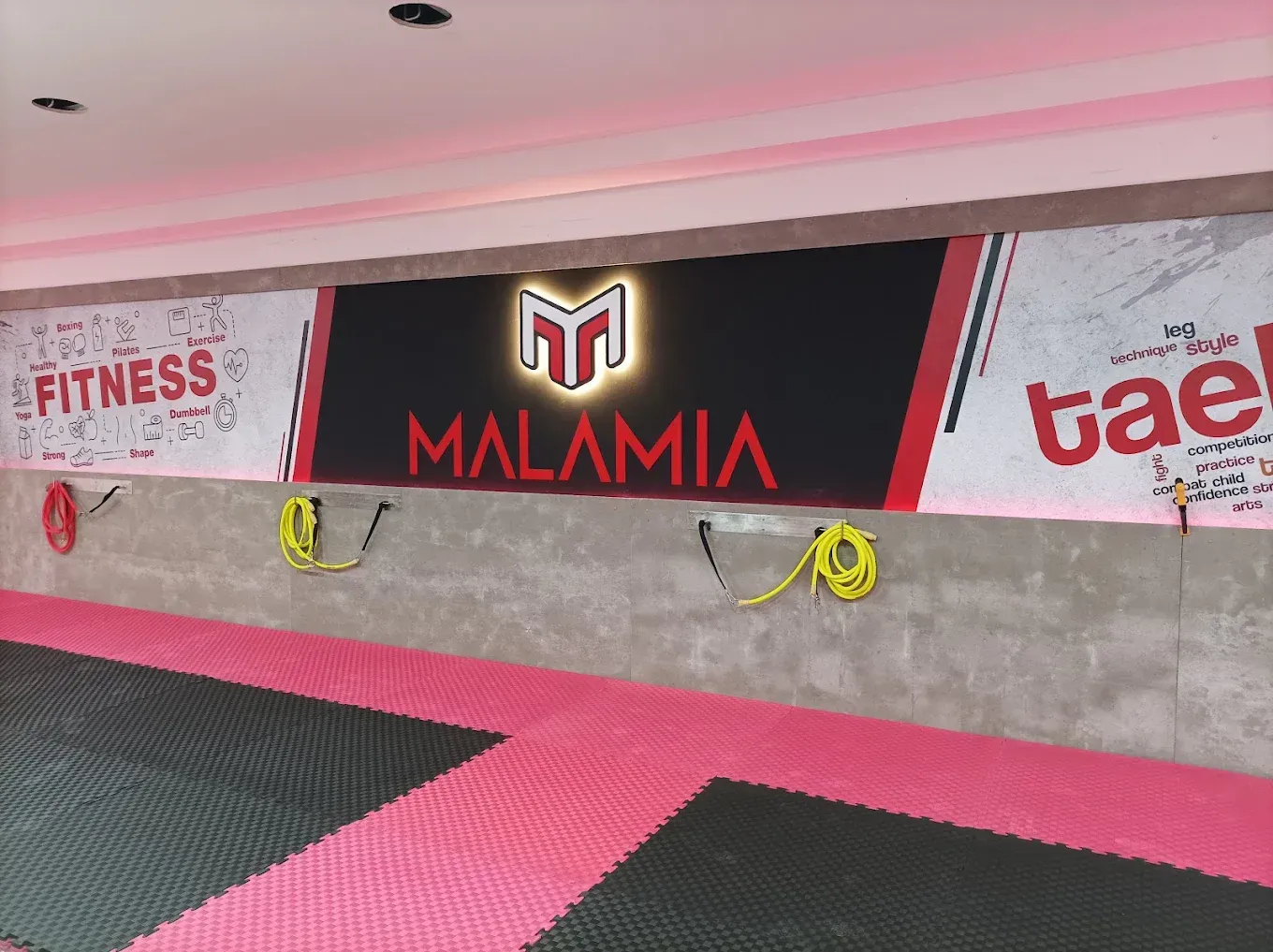 Pared del gimnasio Malamia con logotipos, pared inferior de hormigón y esterillas rosas y negras.