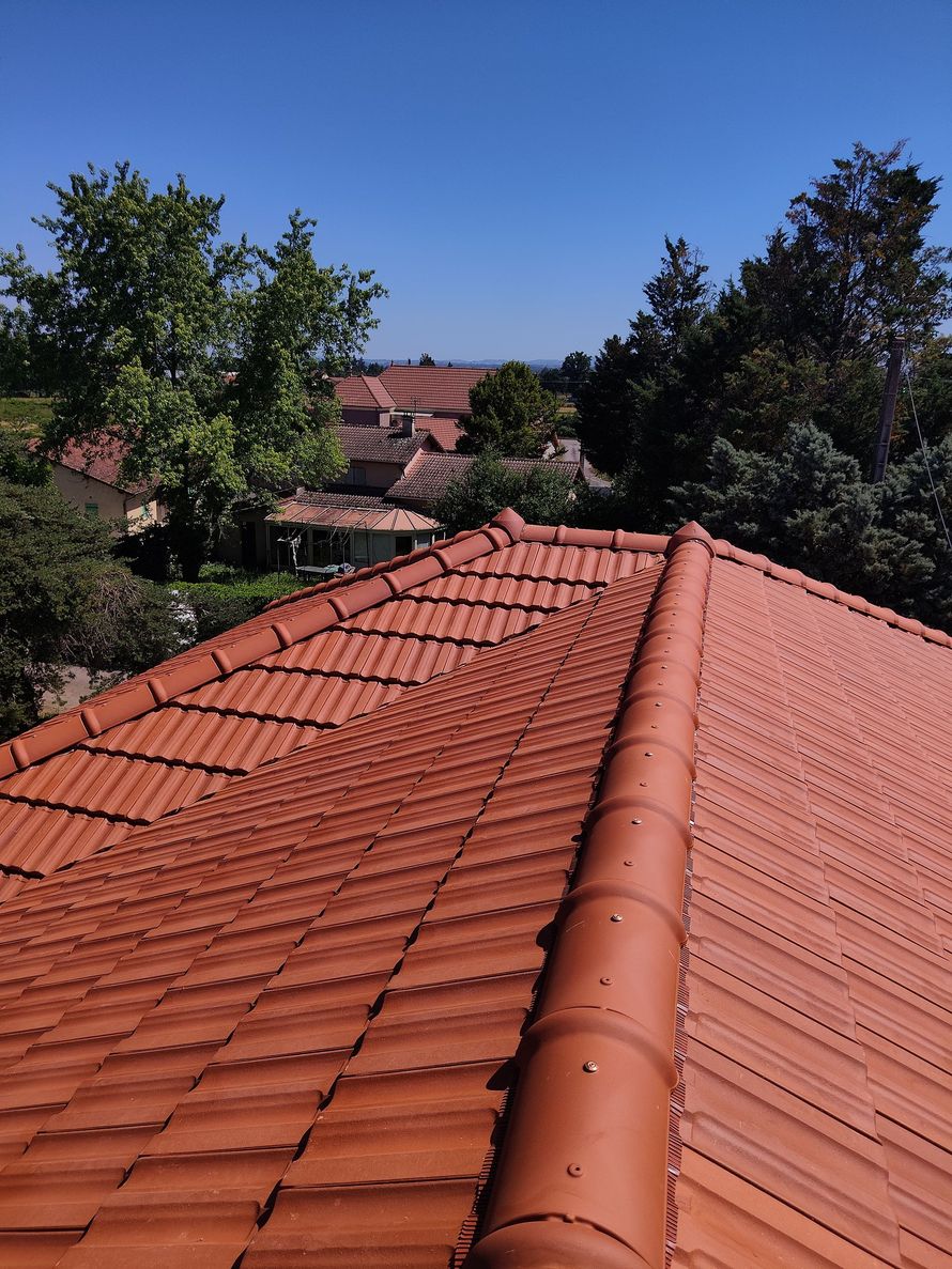 Toits de tuiles rouges avec des arbres sous un ciel bleu clair