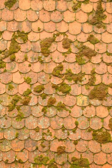 Gros plan sur des tuiles de toit en terre cuite orange avec des taches de mousse verte et des traces d'érosion.