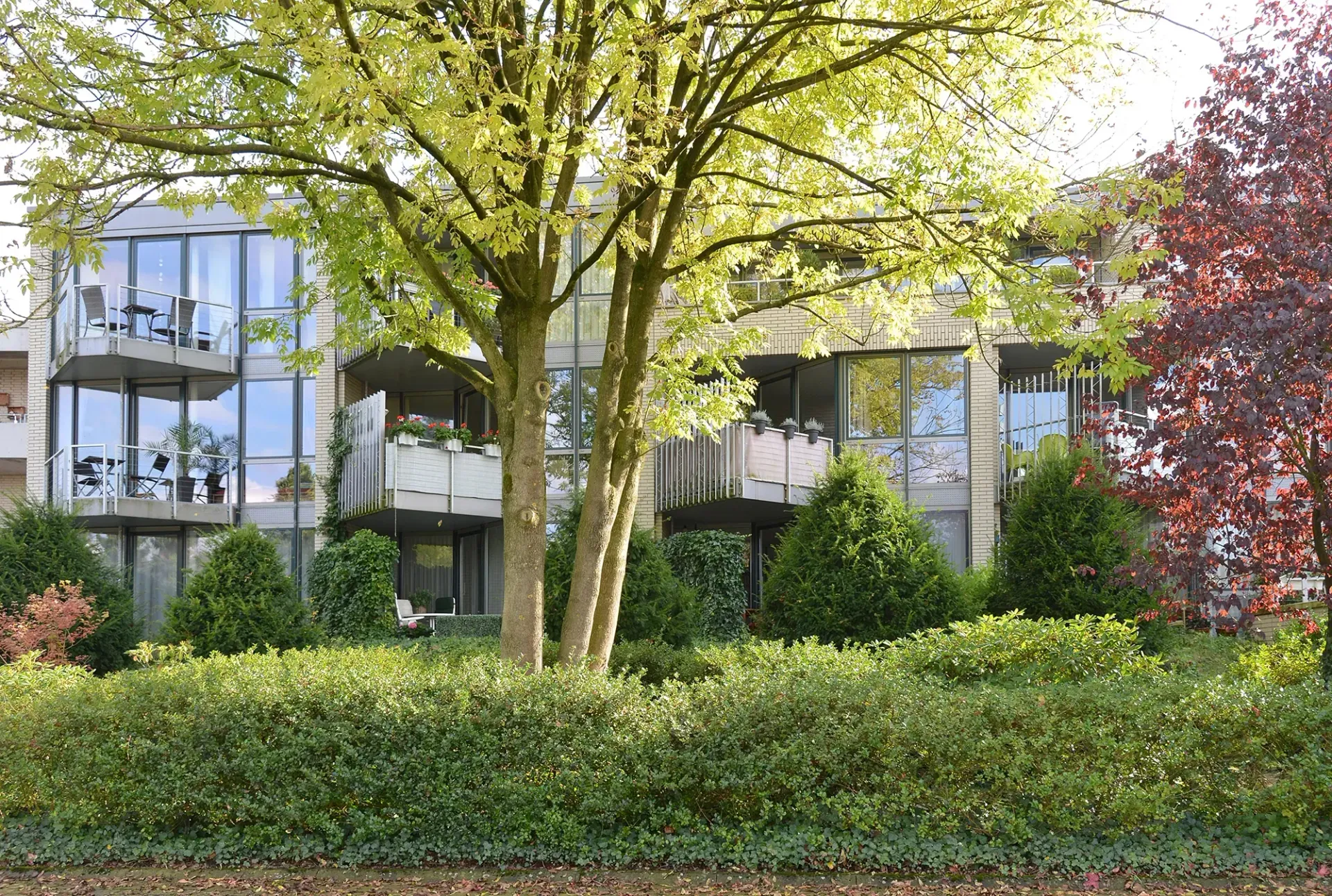 Ein Gebäude mit vielen Fenstern und Bäumen davor