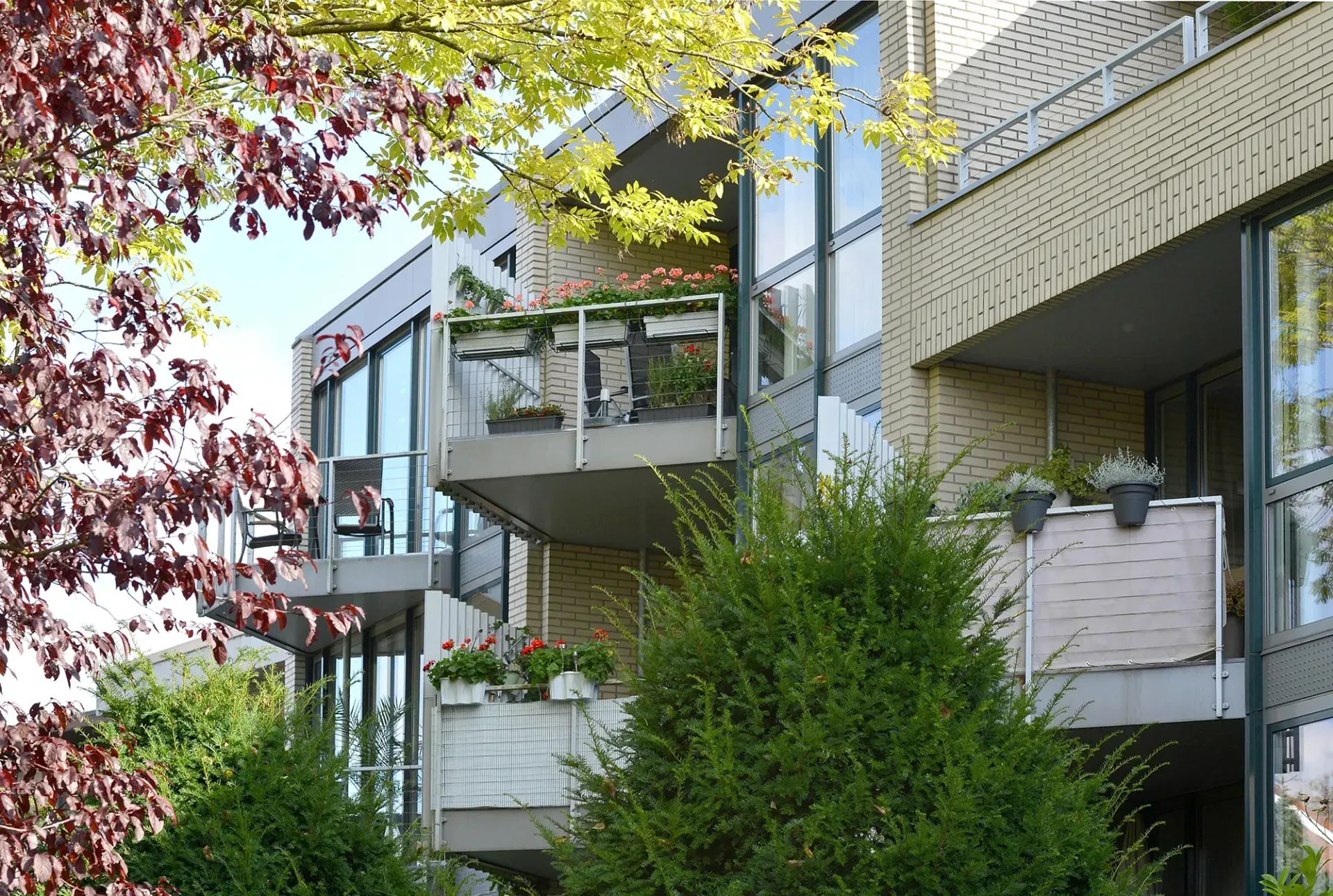 Eine Reihe von Mehrfamilienhäusern mit Balkonen und Bäumen davor