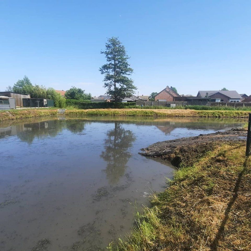 Natuurbeheer vijver