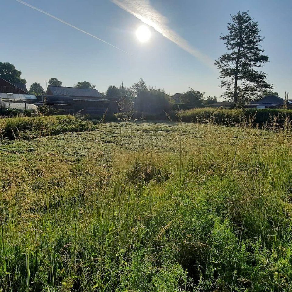 Zorgvuldig bosbeheer