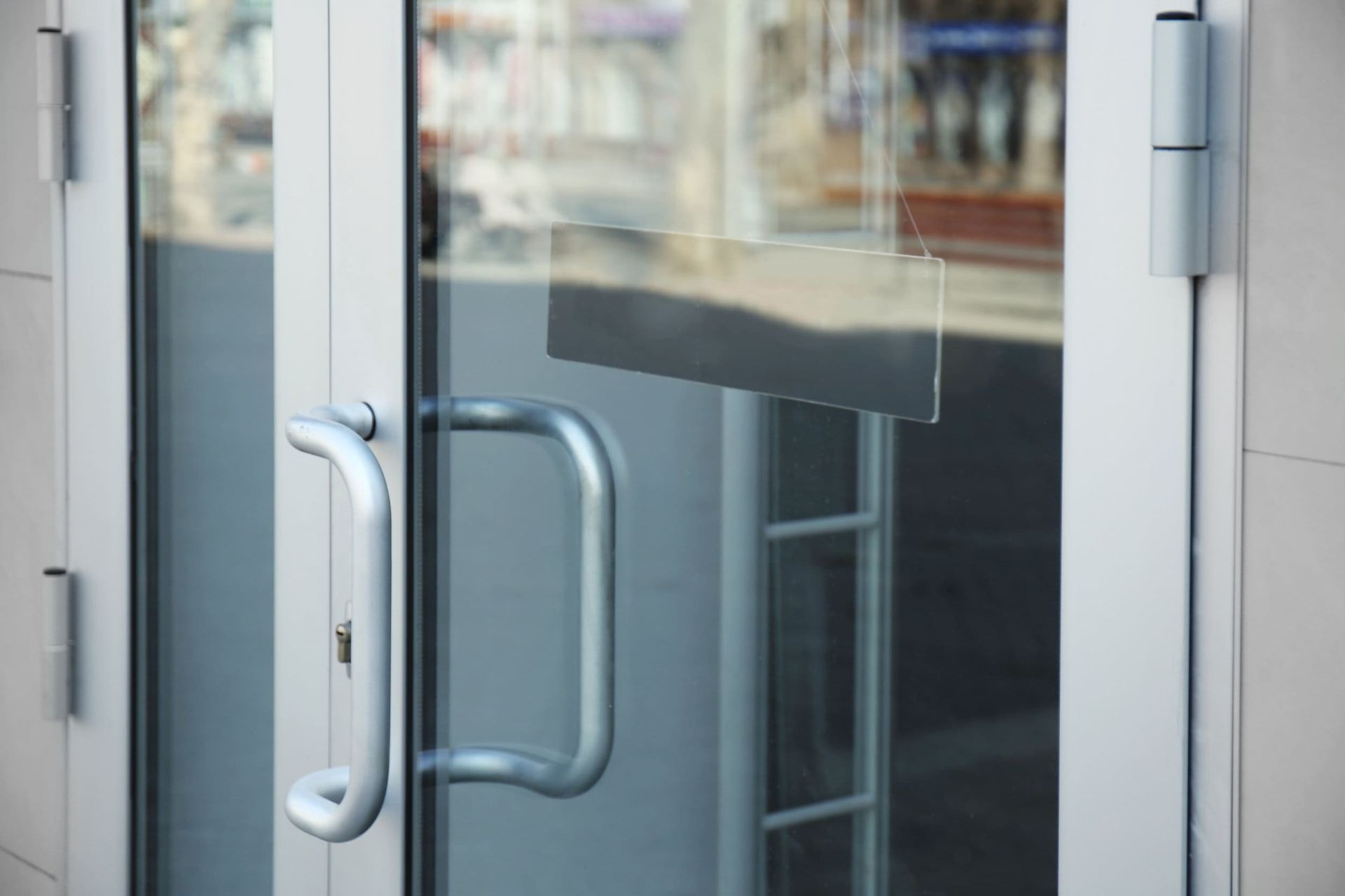 Puerta de cristal con tirador y bisagras plateadas; para exterior.