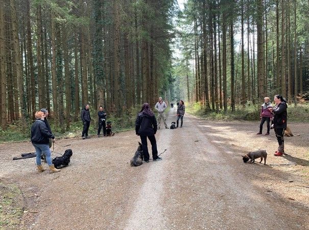 Hundeschule - Dual Tactics - Eschlikon TG